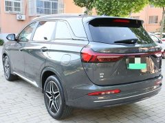 Buick Landian E5 Honor Edition 100KM Premium Type 7 Seats - фото 6