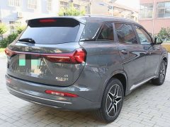 Buick Landian E5 Honor Edition 100KM Premium Type 7 Seats - фото 7