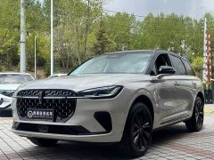 Lynk & Co Adventurer 2024 1.5T 2WD Mulan Special Hybrid Edition - фото 1