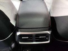 Lynk & Co Zhipao 2021 Ace 2.0L Challenge Edition - фото 15