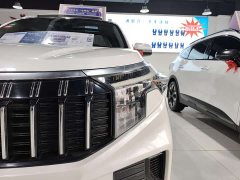 Lynk & Co Zhipao 2021 Ace 2.0L Challenge Edition - фото 16