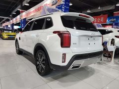 Lynk & Co Zhipao 2021 Ace 2.0L Challenge Edition - фото 7