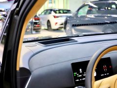 Voyah Lantu Dreamer 2025 PHEV four-wheel drive flagship Kunpeng version - фото 15