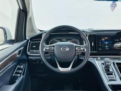 Trumpchi M8 2021 Lead Show Series 390T Exclusive Edition - фото 17