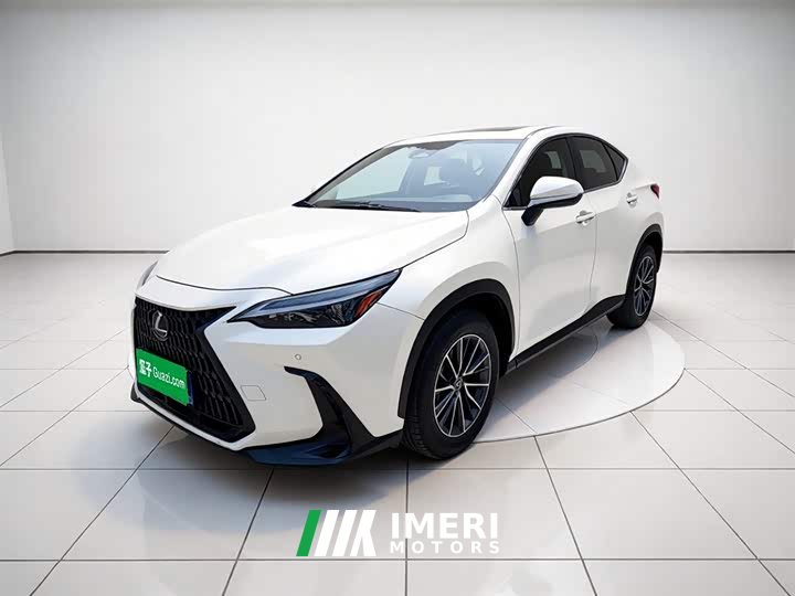 Lexus NX 260 front-wheel drive Chuangyou Special Edition - автомобиль из Китая