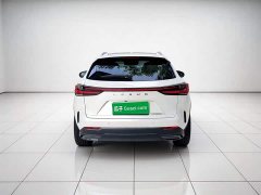 Lexus NX 260 front-wheel drive Chuangyou Special Edition - фото 3