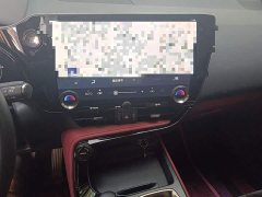 Lexus NX 260 front-wheel drive Chuangyou Special Edition - фото 9