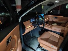 Lynk & Co Leapmoon C16 Extended Range 200 Exclusive Edition - фото 12