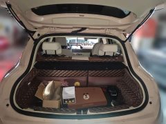 Lynk & Co Euler Good Cat 400km Standard Range Athena Edition Lithium Iron Phosphate - фото 15