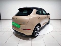 Lynk & Co Euler Good Cat 400km Standard Range Athena Edition Lithium Iron Phosphate - фото 4