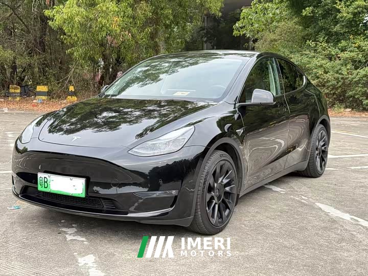 Tesla Model Y rear-wheel drive version - автомобиль из Китая