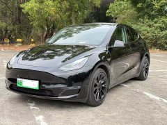 Tesla Model Y rear-wheel drive version - фото 1
