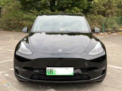 Tesla Model Y rear-wheel drive version - фото 2