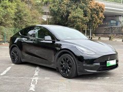Tesla Model Y rear-wheel drive version - фото 3