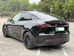 Tesla Model Y rear-wheel drive version - фото 4