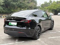 Tesla Model Y rear-wheel drive version - фото 6