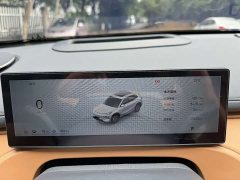 Geely Galaxy Starship 7 120km Discovery Edition - фото 17