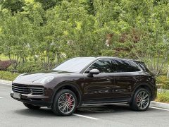 Porsche Cayenne 3.0T Platinum Edition - фото 1