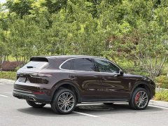 Porsche Cayenne 3.0T Platinum Edition - фото 9