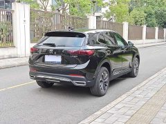 Lexus Envision S 25T enjoys the platinum version - фото 20