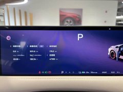 Lexus Zhiji LS6 Smart Lizard Driving Edition - фото 14