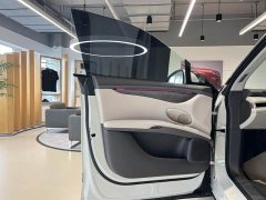 Lexus Zhiji LS6 Smart Lizard Driving Edition - фото 7