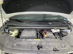 Trumpchi E9 2023 E9 Champion Edition - фото 12