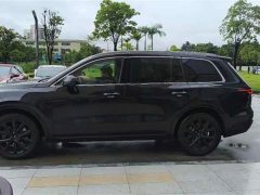 Li Auto ONE 2021 Extended-Range 6-Seater - фото 3