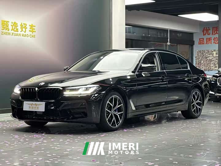 BMW 5 Series 2021 530Li Executive Luxury Package - автомобиль из Китая