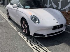 Lynk & Co Euler Lightning Cat 2022 555km Premium Edition - фото 1
