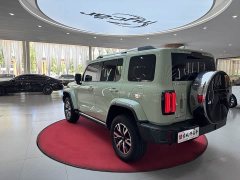 Tank 300 City Edition 2.0T Very Stylish - фото 7