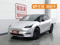 Tesla Model Y rear-wheel drive version - фото 1