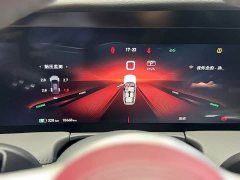 Hongqi E-HS9 690km flagship version six seats - фото 14