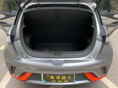 BYD Dolphin 2021 405km fashion version - фото 19