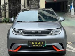 BYD Dolphin 2021 405km fashion version - фото 2