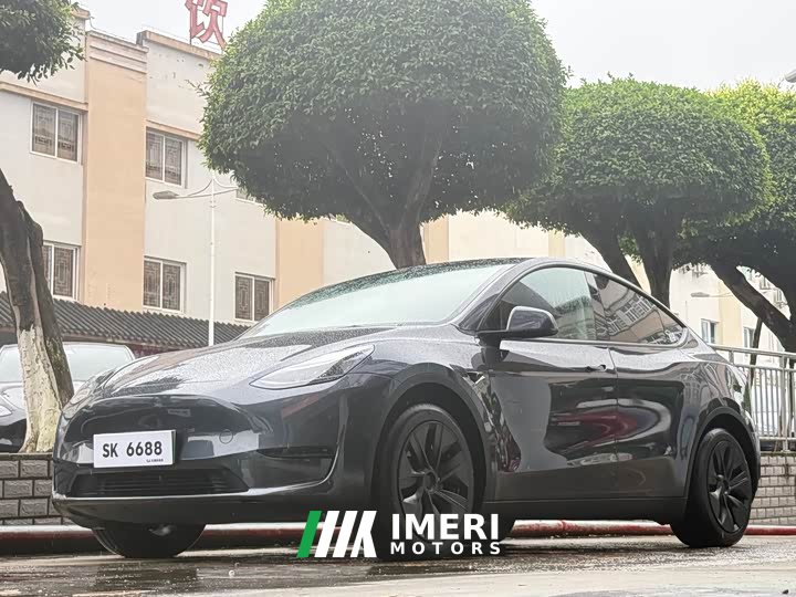 Tesla Model Y rear-wheel drive version - автомобиль из Китая