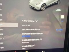 Tesla Model Y rear-wheel drive version - фото 13