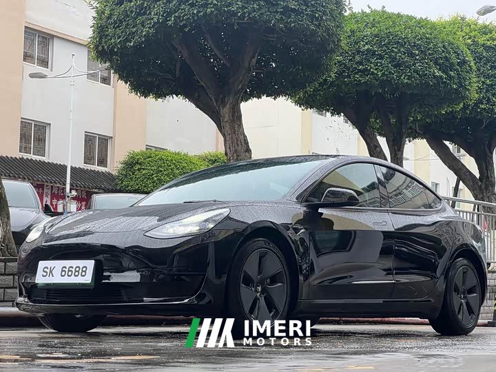 Tesla Model 3 rear-wheel drive version - автомобиль из Китая