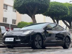 Tesla Model 3 rear-wheel drive version - фото 1