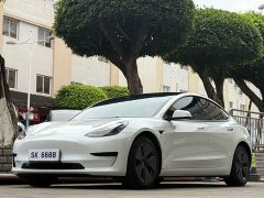 Tesla Model 3 rear-wheel drive version - фото 1