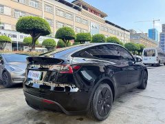 Tesla Model Y standard range rear-wheel drive version - фото 6