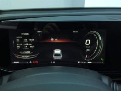 Trumpchi Shadow Leopard 2021 270T DCT J16 version - фото 14