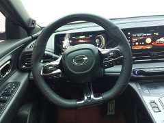 Trumpchi Shadow Leopard 2021 270T DCT J16 version - фото 15