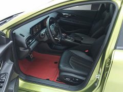 Trumpchi Shadow Leopard 2021 270T DCT J16 version - фото 9