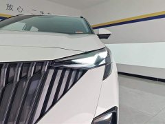 Trumpchi GS3 2023 Shadow Speed 270T Premium Edition - фото 5