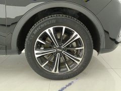Lynk & Co Weipai VV6 2.0T 2WD Intelligent Protection - фото 6