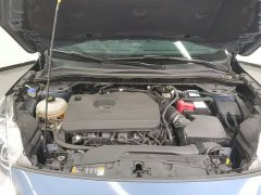 Lexus Ruiji 2020 EcoBoost 245 two-wheel drive Yaoxiang - фото 10