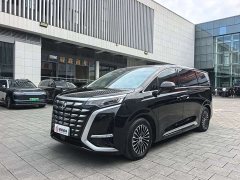 Denza D9 2024 DM-i 980 four-wheel drive flagship - фото 1