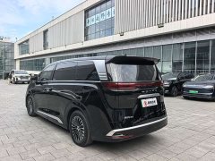 Denza D9 2024 DM-i 980 four-wheel drive flagship - фото 19