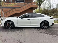Porsche Panamera 2.9T - фото 13